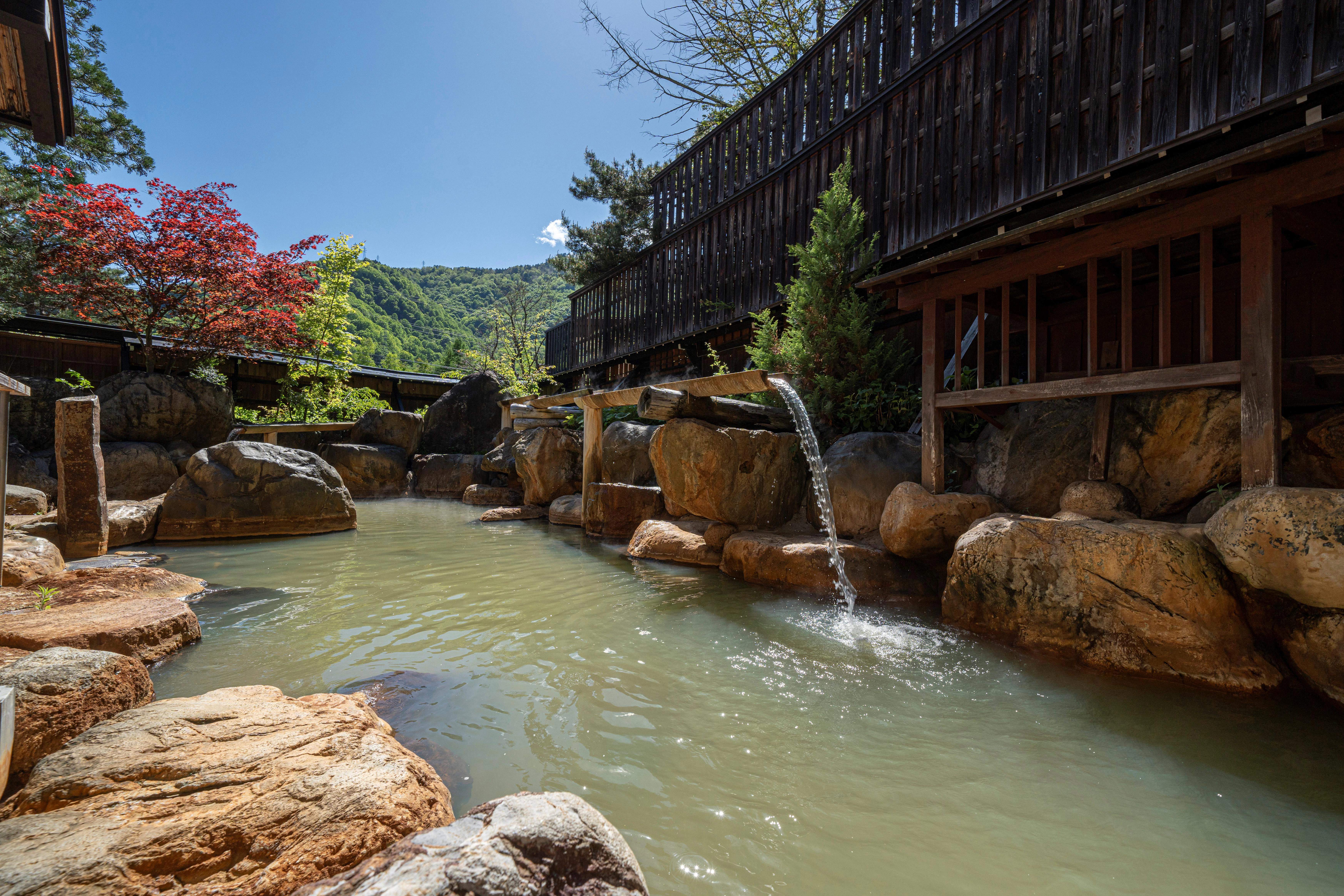 深山桜庵別館 湯めぐりの宿 平湯館(共立リゾート)