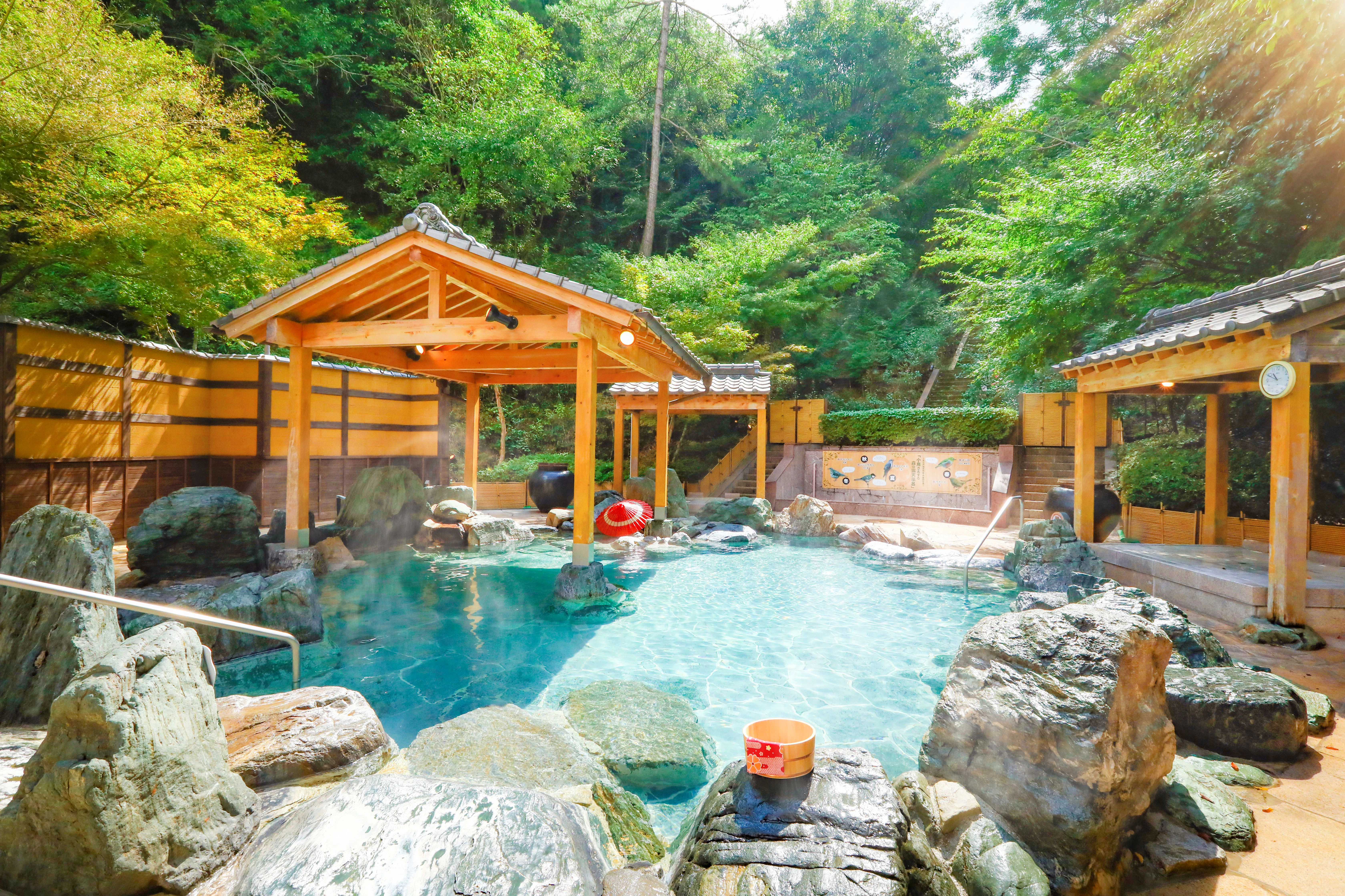 大江戸温泉物語 ホテルレオマの森