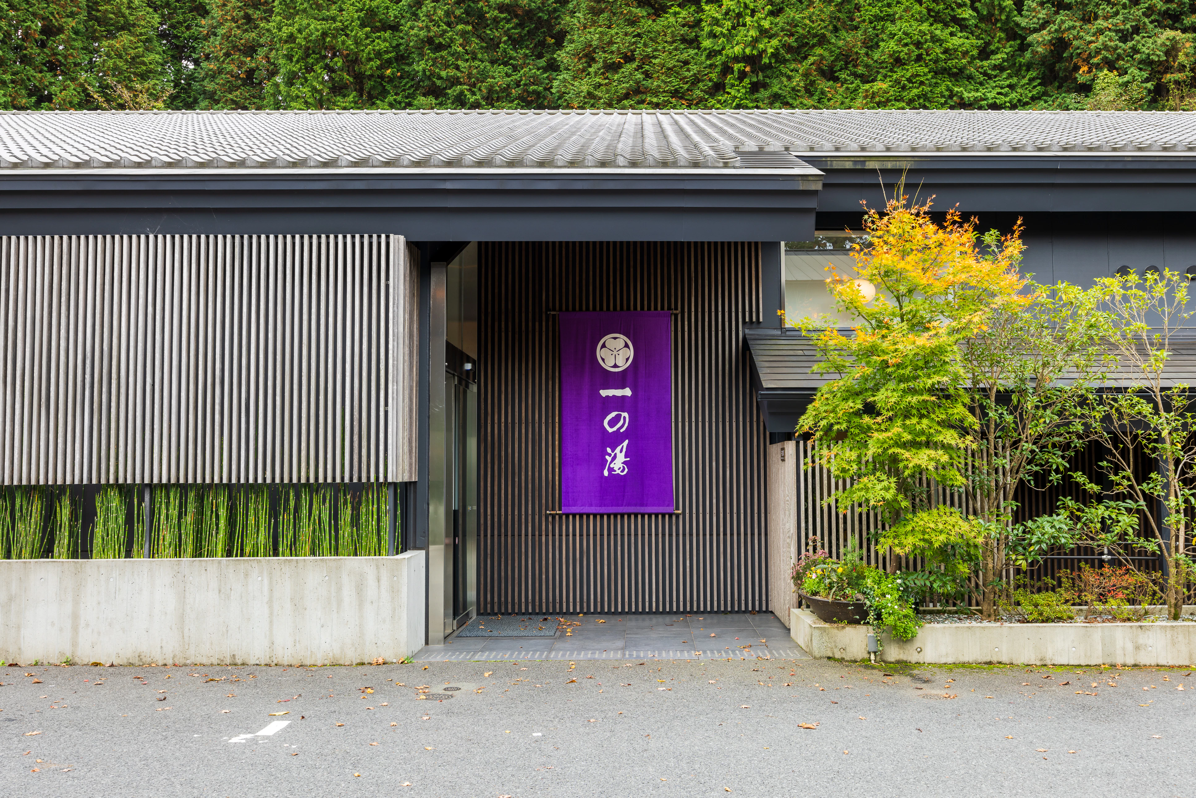 仙石原 ススキの原一の湯