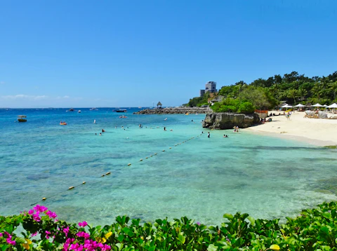 初めてのセブ旅にぴったり！魅力あふれるセブをコスパよく満喫。ビジネスクラス利用