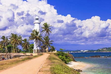大自然からビーチまで堪能する旅！ホテルおまかせのスリランカ周遊プラン。専用車つき