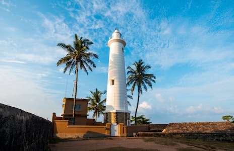 世界遺産から美しいビーチまでを専用車でめぐる！5つ星ホテルで充実のスリランカ周遊旅