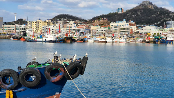 木浦旅行・ツアー2026|コスパ最強の格安・厳選プランを紹介 - 海外旅行・国内旅行のツアーやホテル予約はNEWT(ニュート)