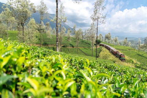 ゆったり楽しむスリランカ旅！おまかせ3つ星ホテルに泊まるおトクな周遊プラン
