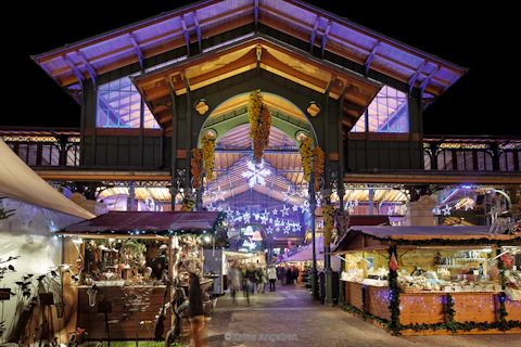 SALE価格🌺スイストラベルパスつき！自由気ままな冬スイス旅🇨🇭16名限定、直行便利用