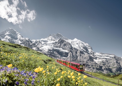 2/7(土)販売スタート🎉各日16名限定✨燃油込み！山岳リゾートに泊まる！添乗員といくスイス絶景旅8日間🇨🇭