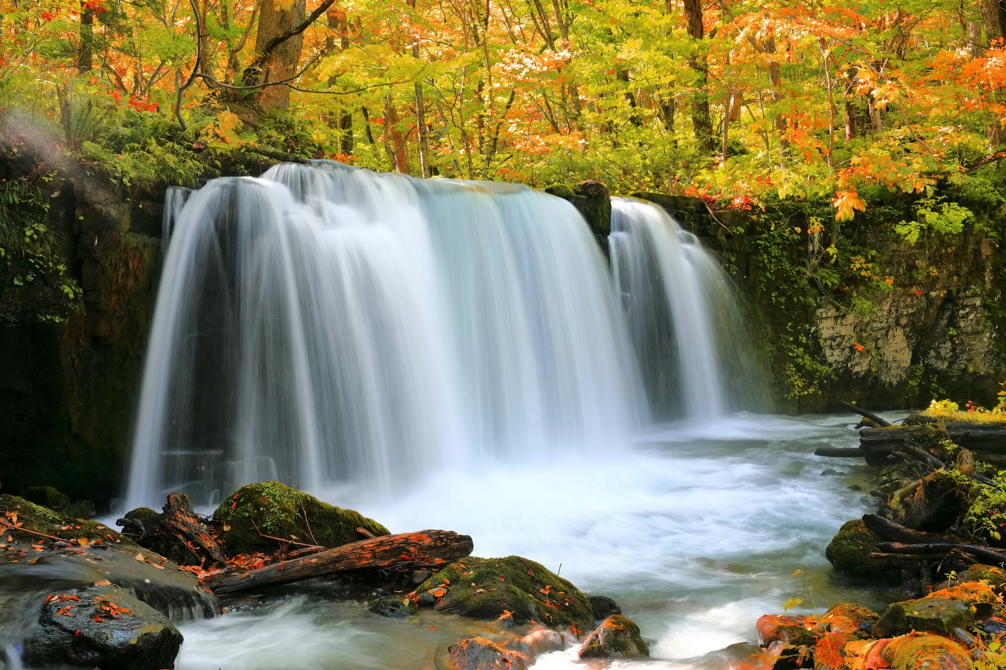 青森旅行・ツアー