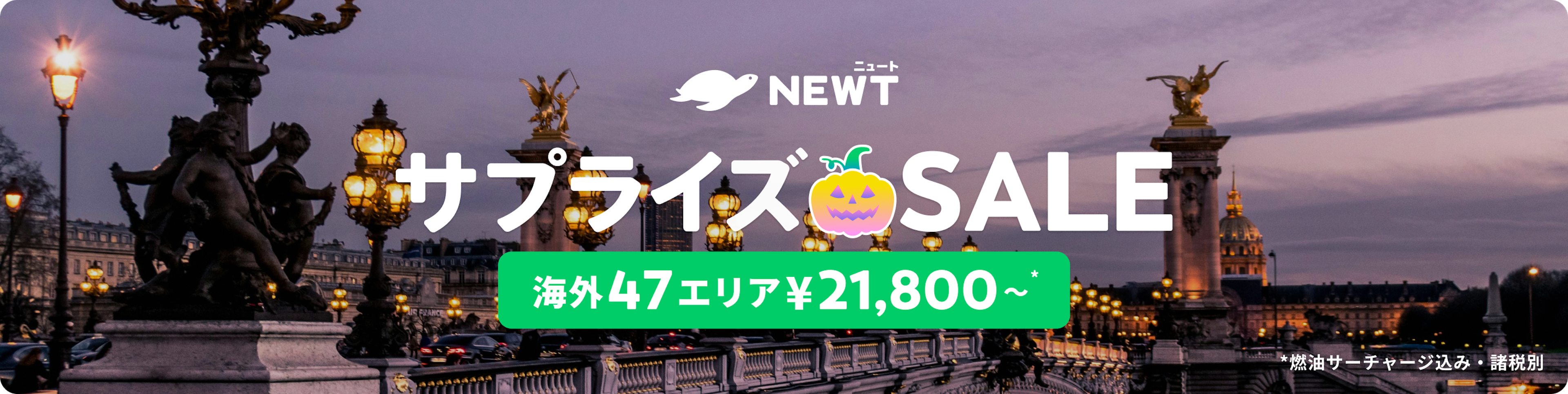 サプライズSALE ｜NEWT（ニュート）