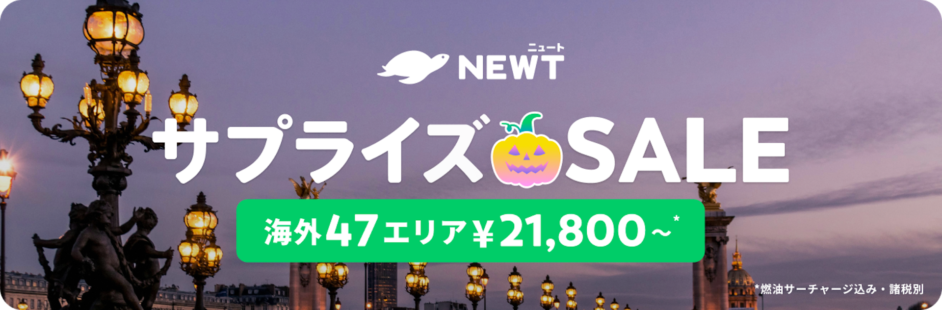 サプライズSALE ｜NEWT（ニュート）