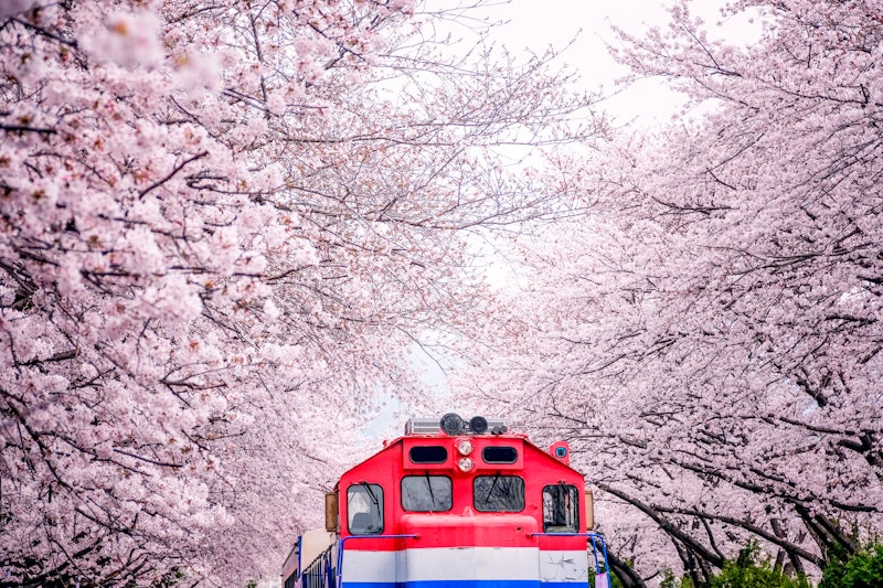 初めてのソウル旅にうれしい！狎鴎亭駅に直結の5つ星ホテル泊。行きは夜発、帰りは朝発