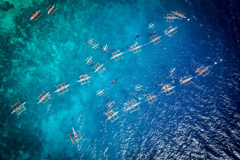 ジンベイザメと泳ぐ早朝ツアーつき！NEWTおまかせホテルに泊まるおトクなセブ