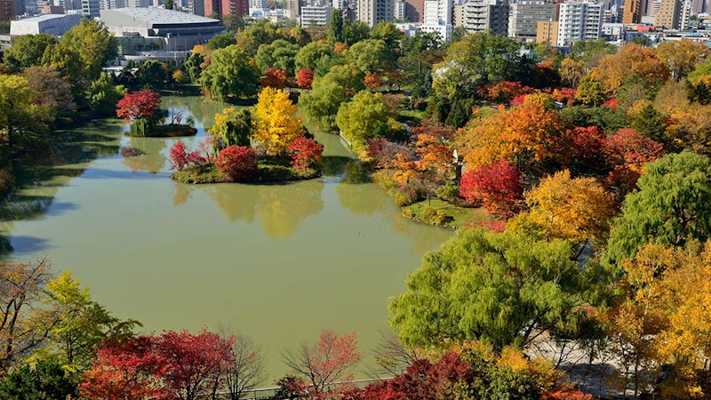 都会のオアシス九龍公園すぐ！観光や街歩きにぴったりな立地の4つ星ホテル滞在