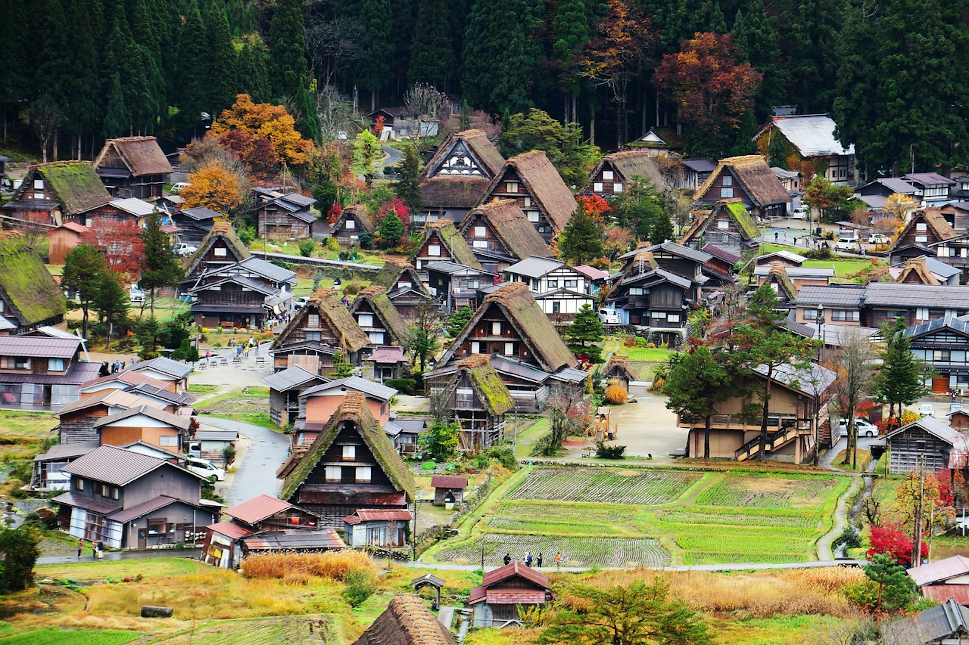 岐阜旅行・ツアー