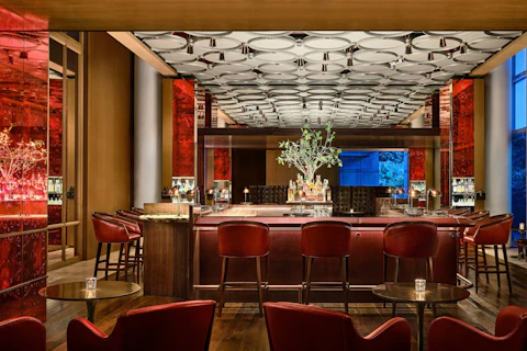 星つきレストランも併設！あこがれ5つ星ホテルにステイ。行きは朝発、帰りは午後発