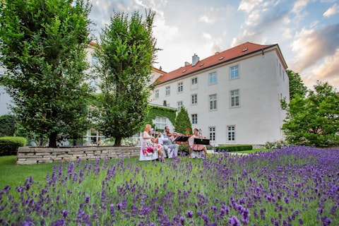 カレル橋が徒歩圏内!修道院を改修した豪華ホテルに宿泊。プレミアムエコノミー利用