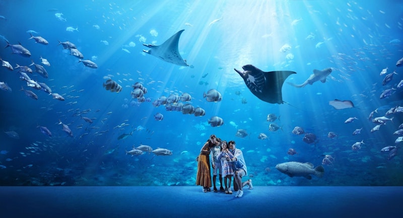 アクティブ派にぴったり！巨大ウォーターパーク隣接の5つ星ホテル泊。JAL利用