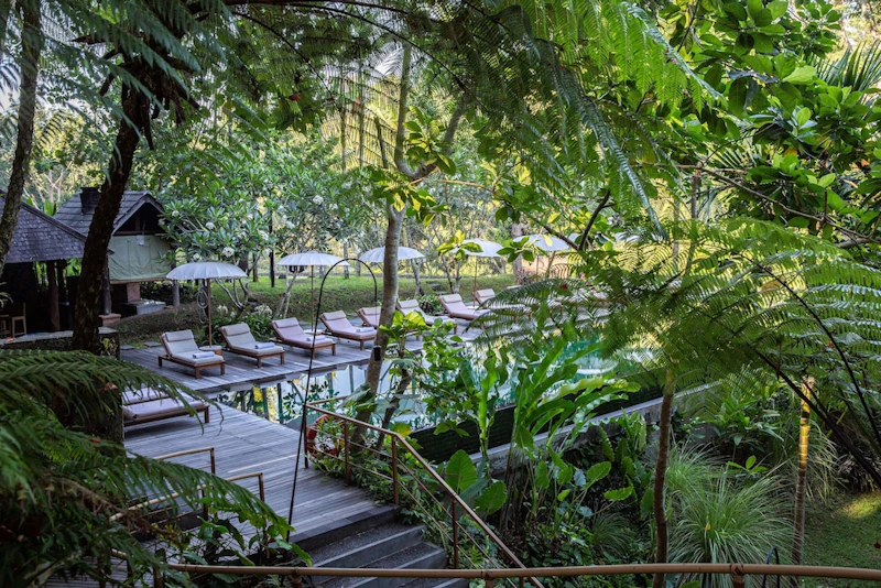 インフィニティプールが自慢！ウブドの森にたたずむ豪華リゾート泊。ビジネスクラス利用