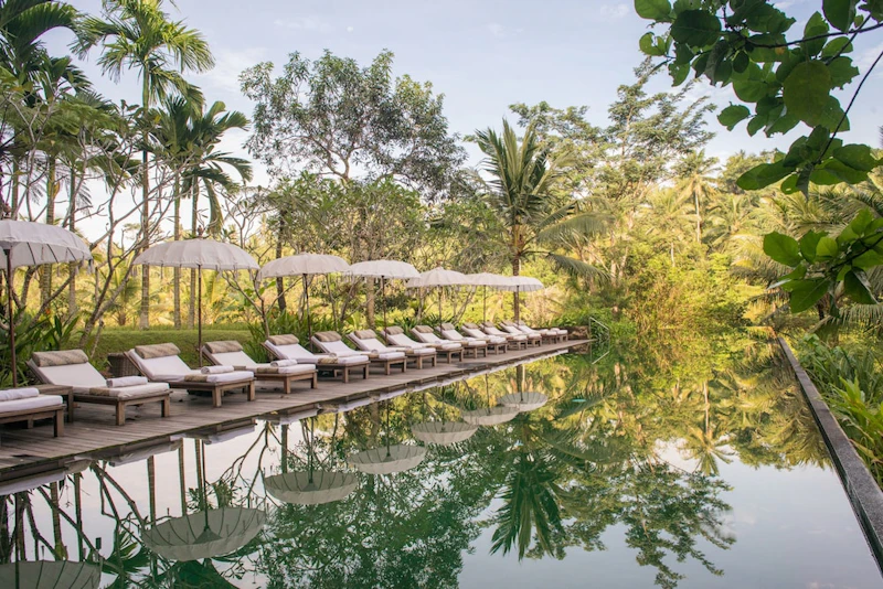 ウブドの自然を味わえる5つ星リゾートでワンランク上のバリ旅！ビジネスクラス利用