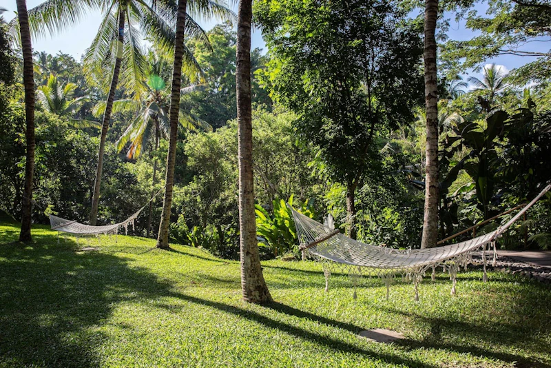 インフィニティプール完備！ウブドの森にたたずむラグジュアリーリゾートで癒やし旅