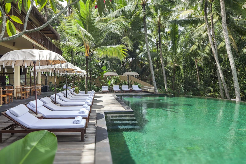 レストラン併設！モンキーフォレスト通り沿いのホテルにステイ。ビジネスクラス利用