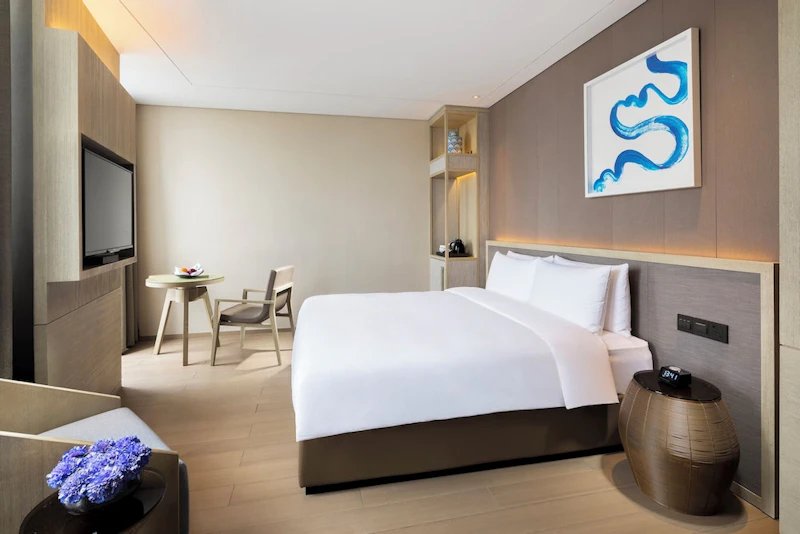 上海ディズニーランド 2デー・チケットつき！JALビジネスクラスで上質なホテルに滞在