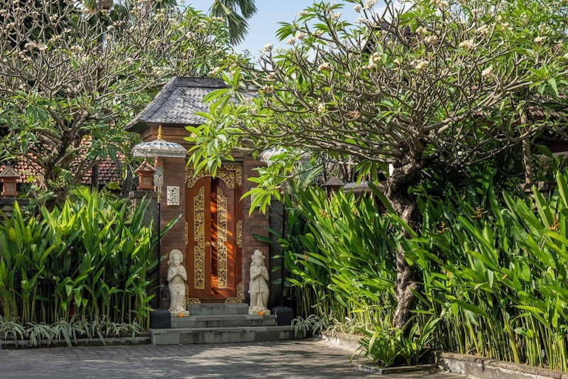 南国の植物あふれるリゾートホテルでリラックスする旅を！ビジネスクラス利用