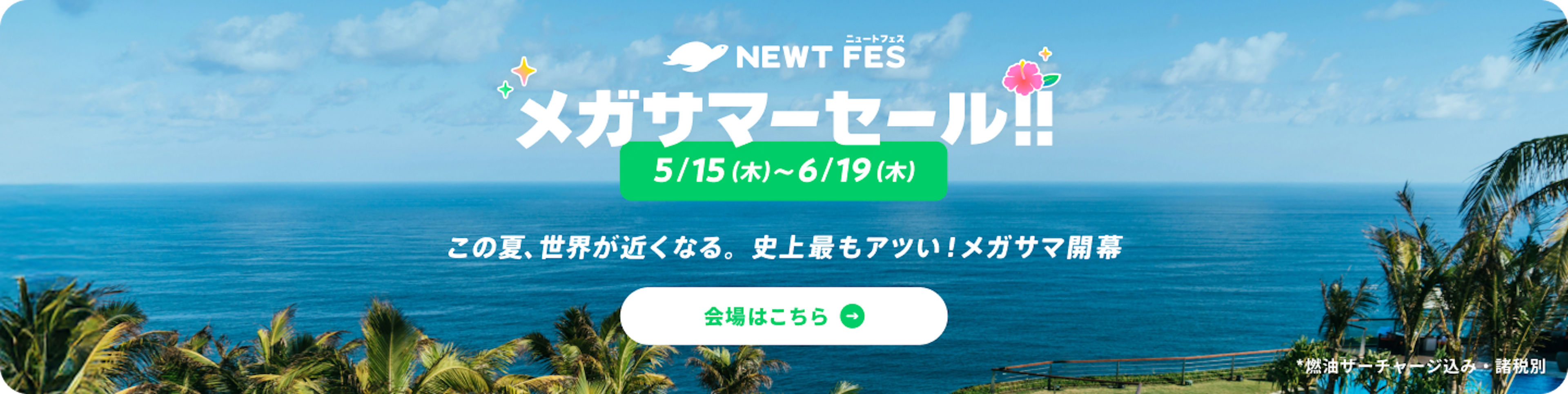 NEWT FES 3周年メガセール | NEWT（ニュート）