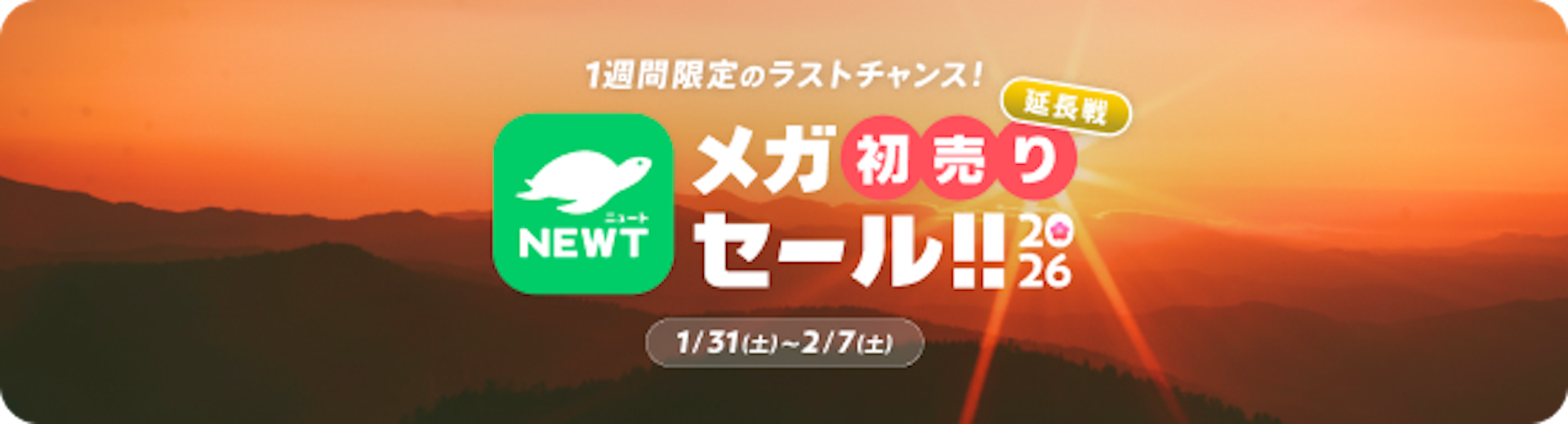 メガ初売りセール｜NEWT（ニュート）