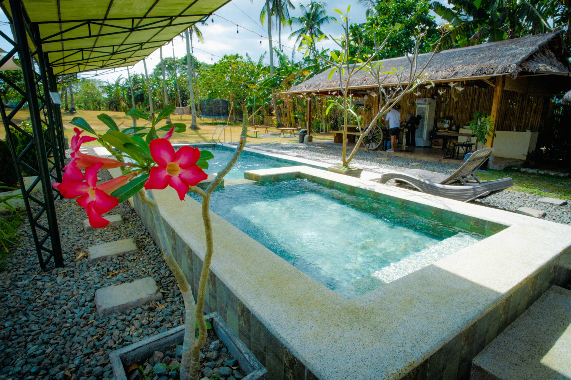 Resort pool with tropical plants