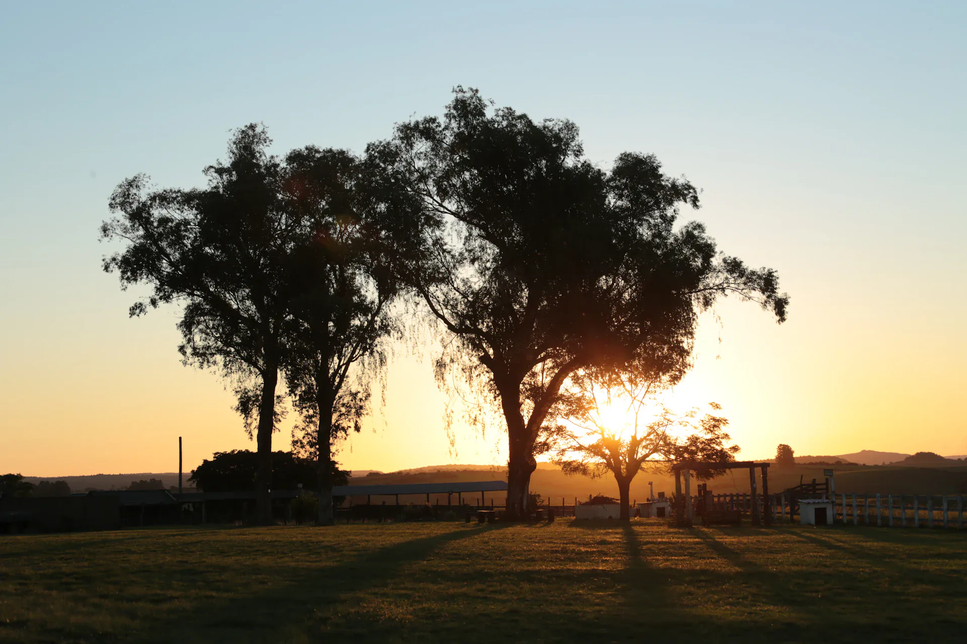 Peaceful nature retreat at morning
