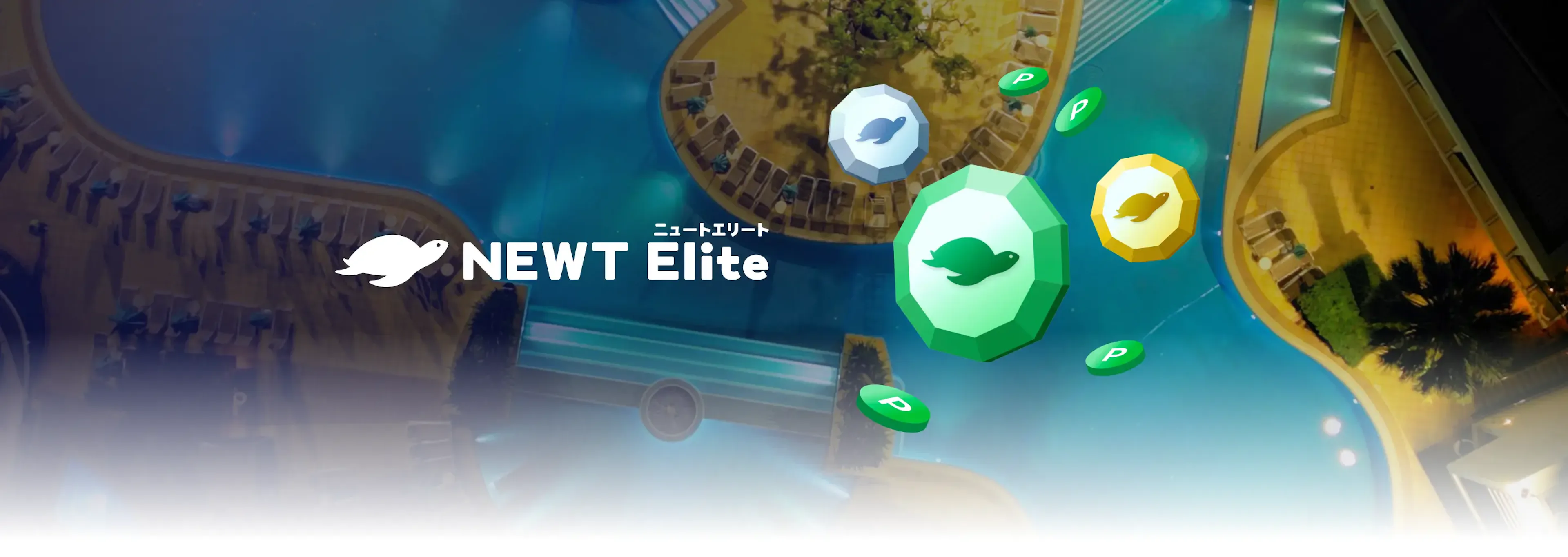 NEWT Elite 2025/12/10(水)スタート