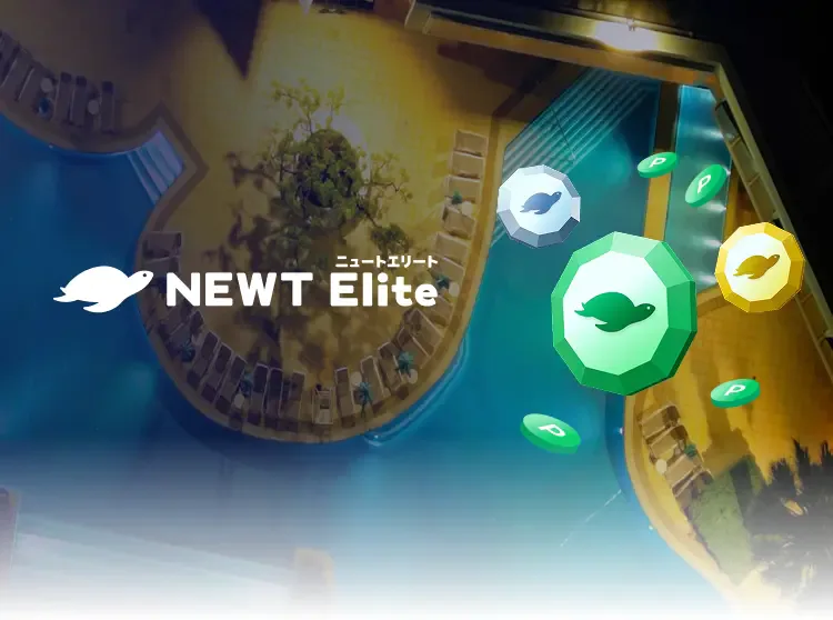 NEWT Elite 2025/12/10(水)スタート