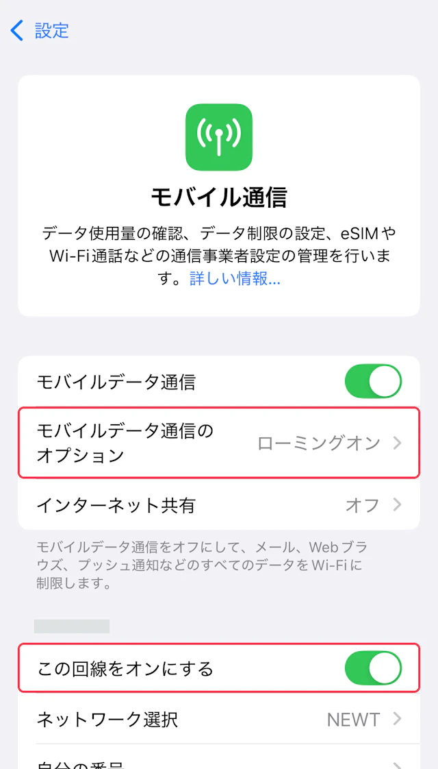 モバイル通信画面。ローミングオンと回線オンに赤枠