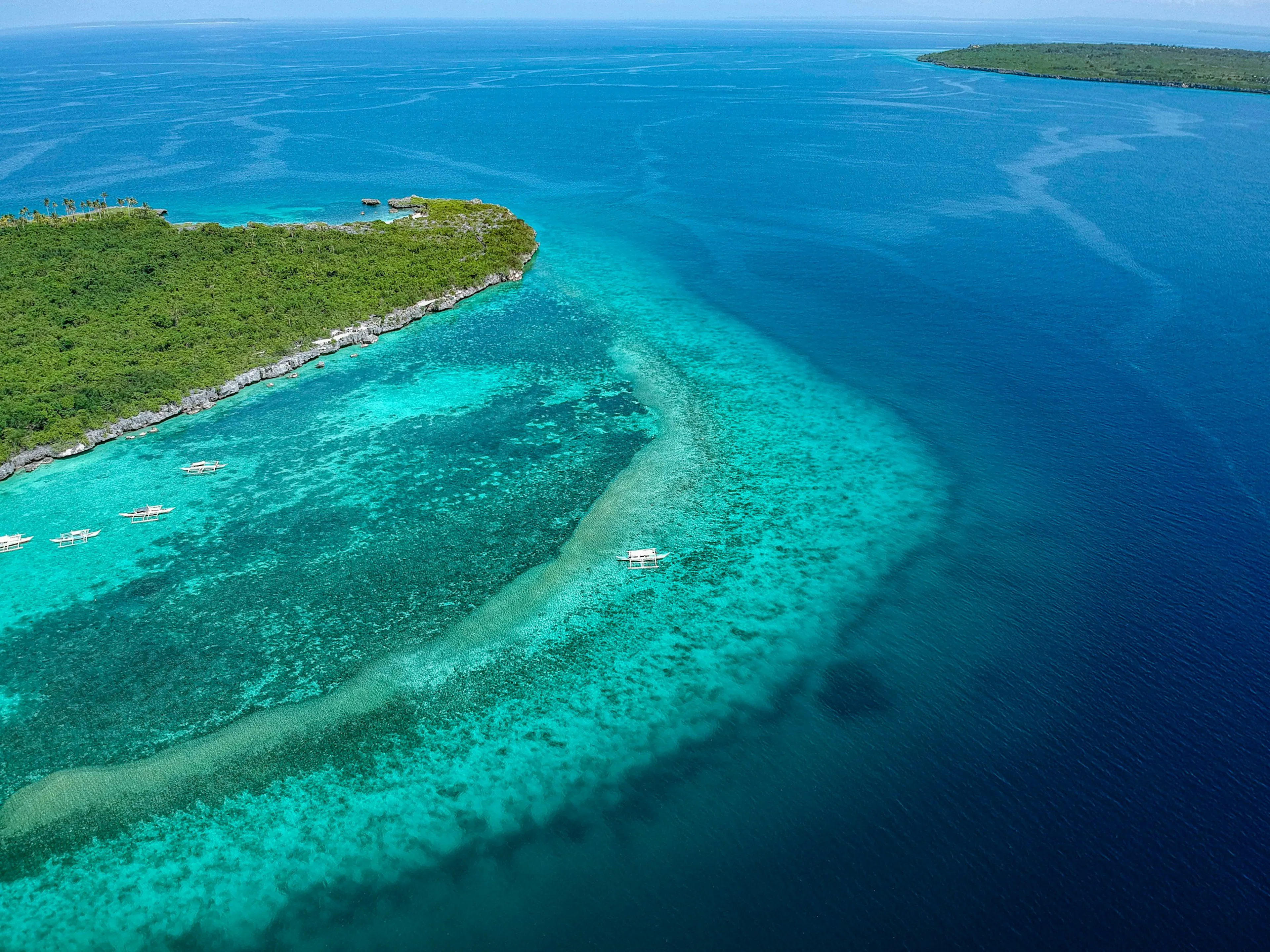 セブの海に浮かぶ緑の島と、エメラルドグリーンの浅瀬