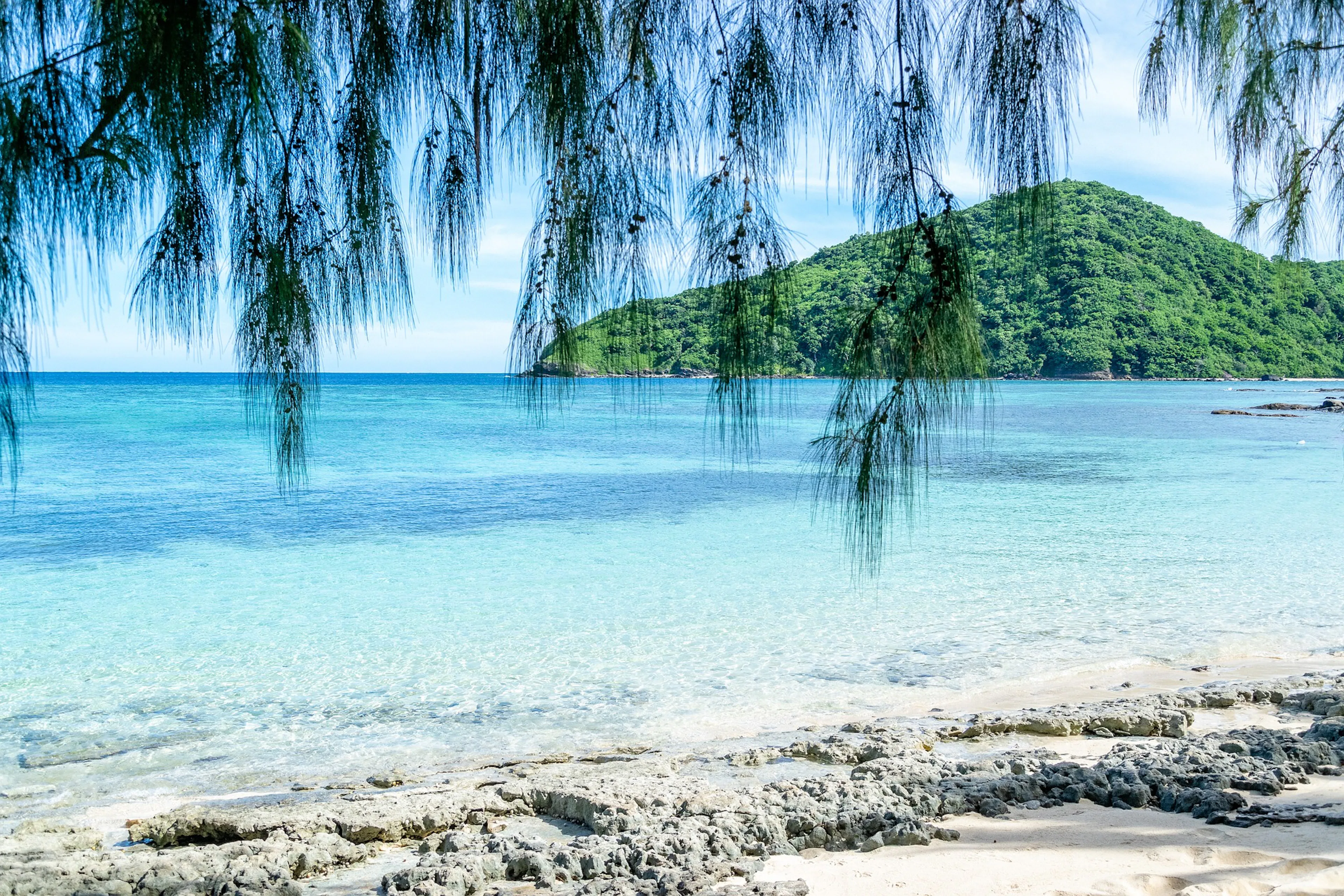 フィジーの海岸の風景