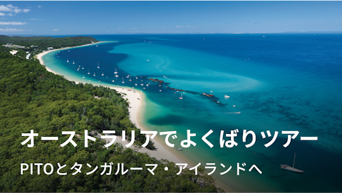 オーストラリアの大自然で 絶景も癒やしも冒険も叶える！ 撮影も学ぶ"よくばり"ツアー｜NEWT（ニュート）