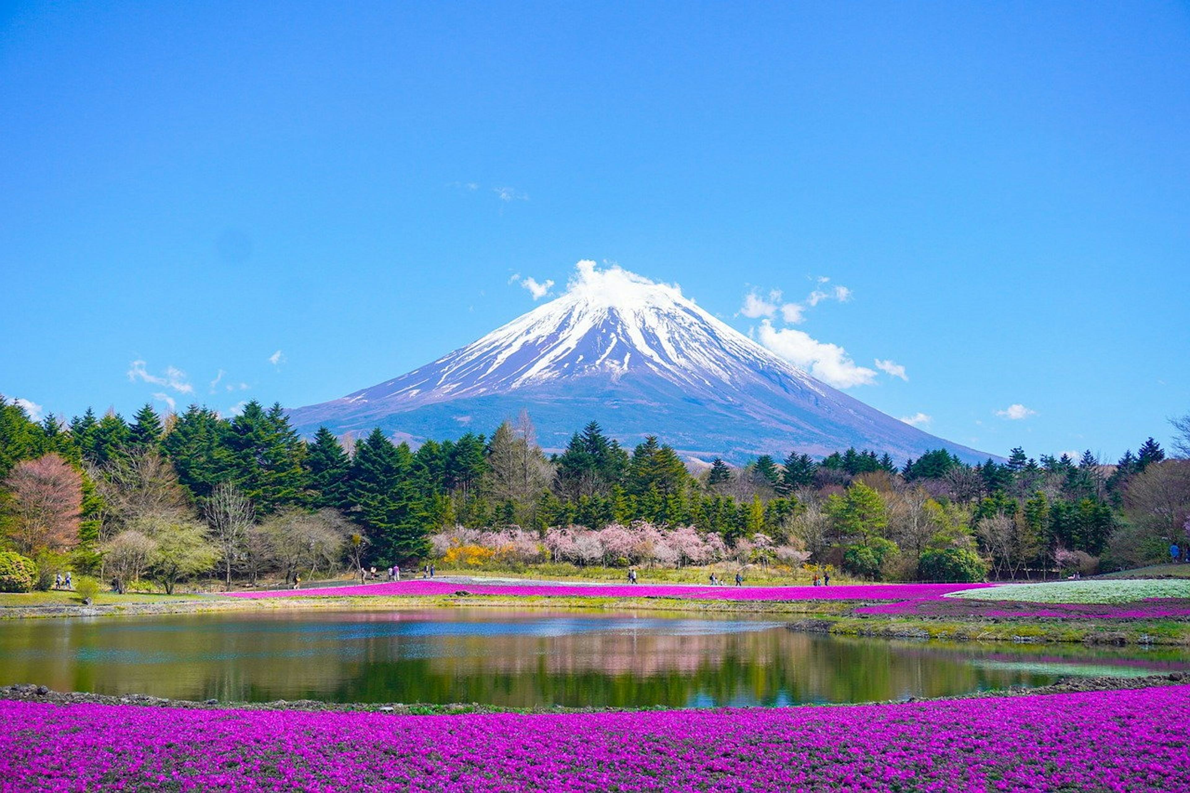 静岡旅行・ツアー